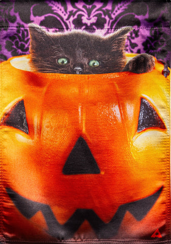 Kitten in Pumpkin Lustre GF
