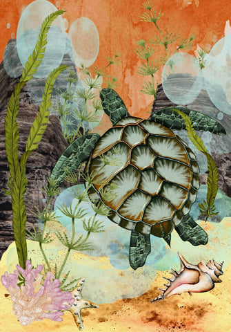 Sea Turtle GF