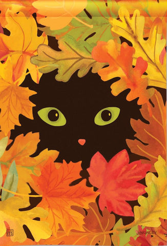 Peekaboo Cat GF