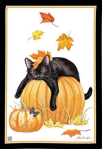 Pumpkin Cat GF