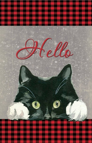Hello Cat