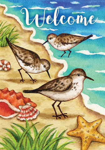 Sandpipers-FM