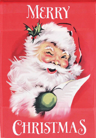 Merry Christmas Santa HF