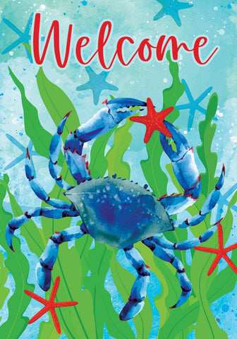 Crab & Starfish HF