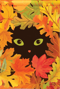 Peekaboo Cat GF