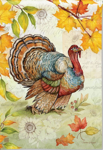 Turkey Time GF