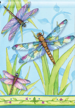 Dragonfly Days GF
