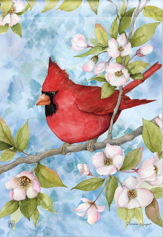 Little Cardinal Dogwood GF