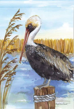Pelican GF