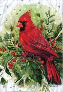 Cardinal on Winter Boughs GF