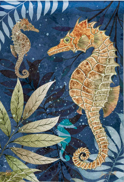 Seahorse GF