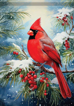 Cardinal Holly HF