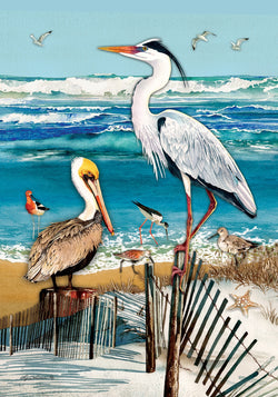 Shore Birds HF