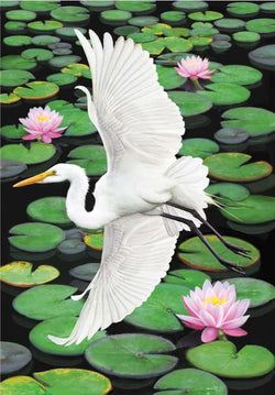 Egret Elegance