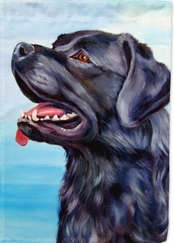 Black Labrador Retriever