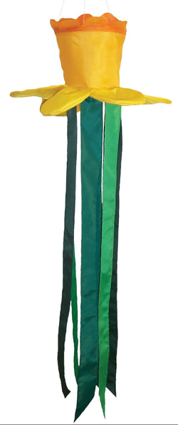 Spring Daffodil Windtail