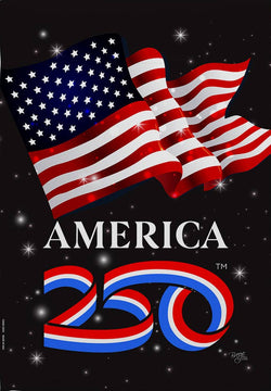 America 250 House Flag
