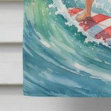 Santa Claus Surfing JF