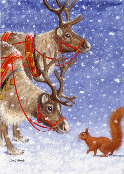 Reindeer and Squirrel