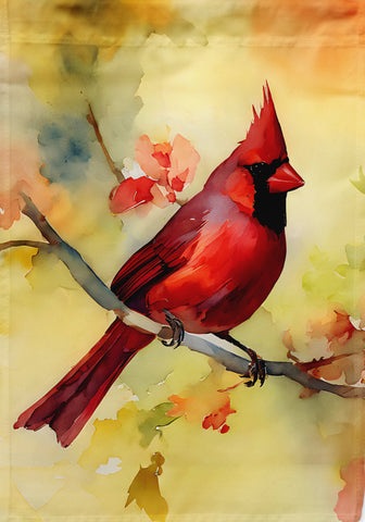 Cardinal HF