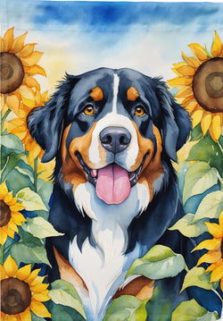 Bernese Mountain Dog in Sunflowers HF