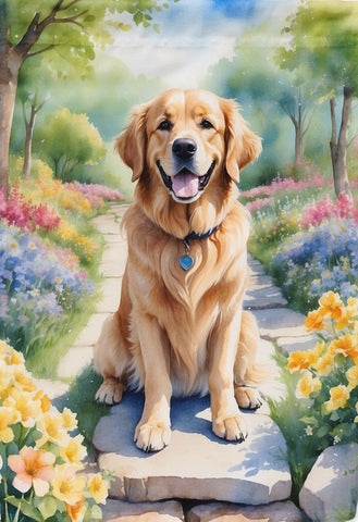 Golden Retriever Spring Path HF
