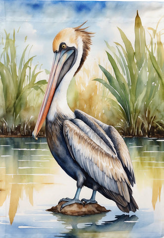 Brown Pelican HF