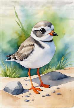 Piping Plover House Flag