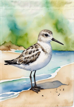 Sanderling House Flag
