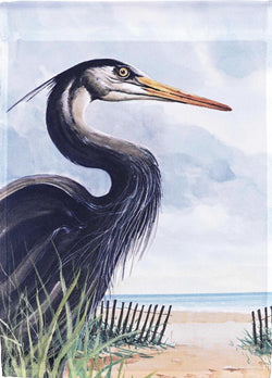 Heron Beach Patrol GF