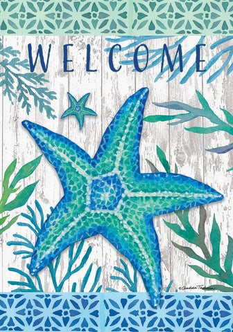 Teal Starfish HF