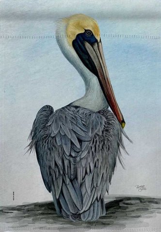 Pelican House Flag