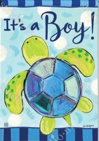 It's a Boy Sea Turtle
