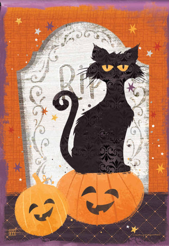 Black Cat and Pumpkins