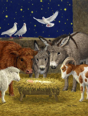 Nativity Scene With Just Animals