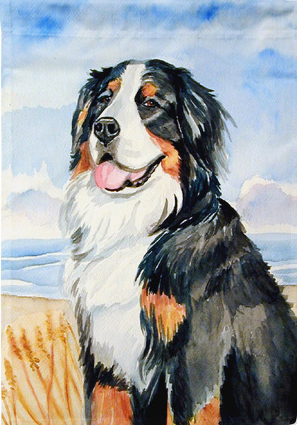Bernese Mountain Dog at the Beach