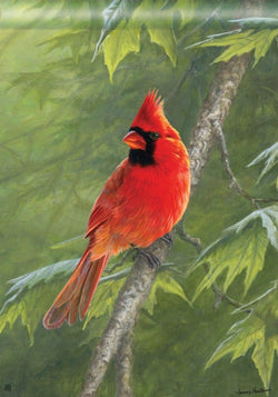 Cardinal