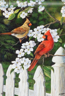 Dogwood and Cardinals