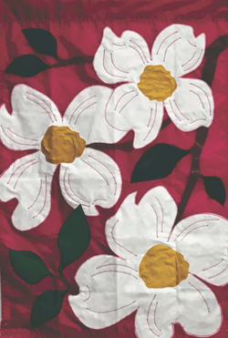 Dogwoods on Pink