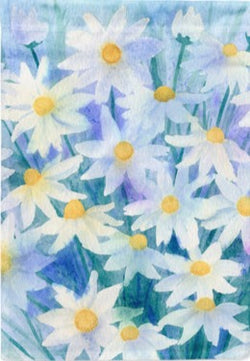 Light and Airy Daisies