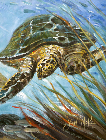 Loggerhead Turtle - Islander Flags of Kitty Hawk, Inc.