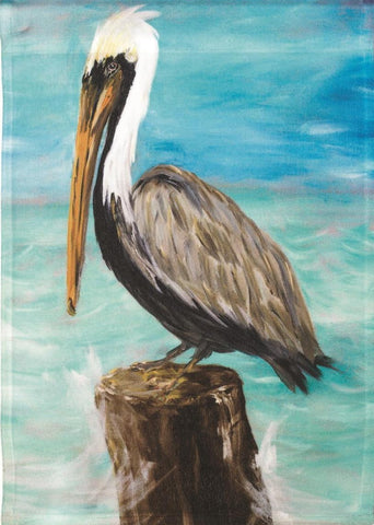 Pelican on Post