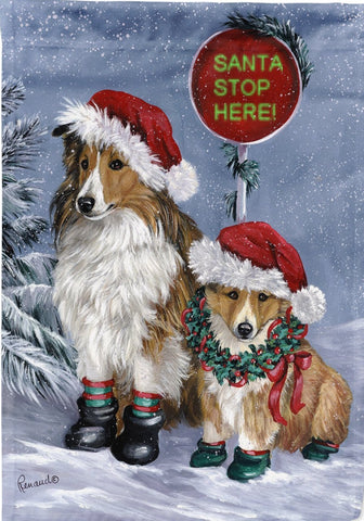 Sheltie Christmas Santa Stop