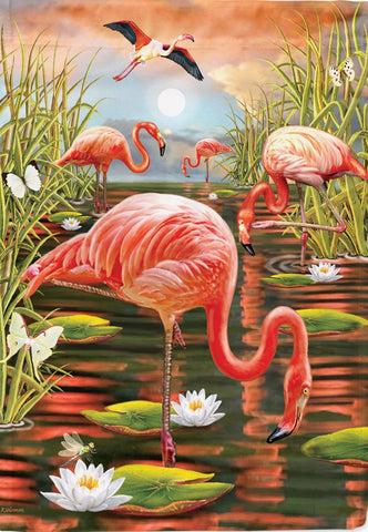 Flamingos Everywhere