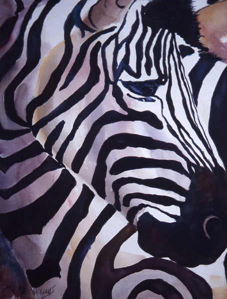 Zebra Head - Islander Flags of Kitty Hawk, Inc.