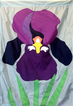 Iris